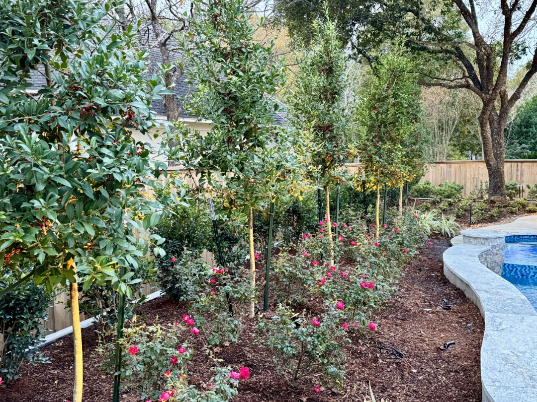 Clark Progress Photo (42)