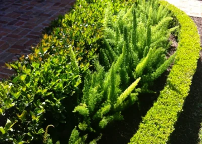landscaping design company the woodlands 3