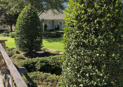 landscaping design company the woodlands 4