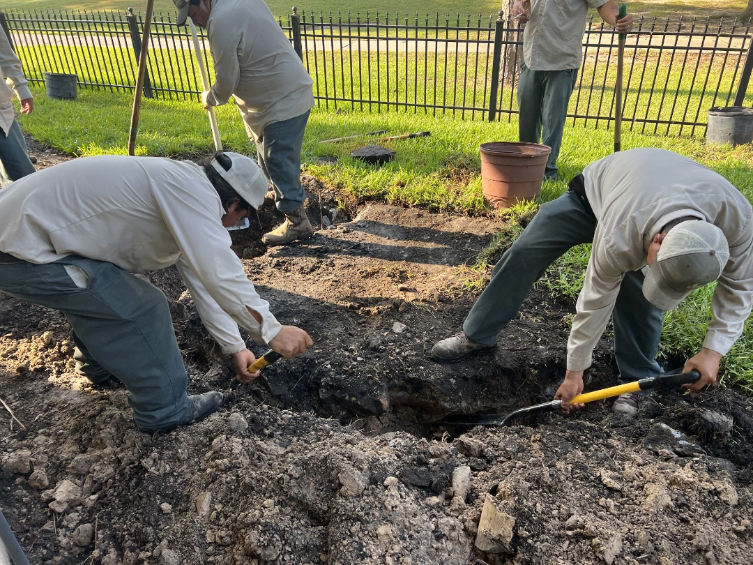 Steinford Progress (5)